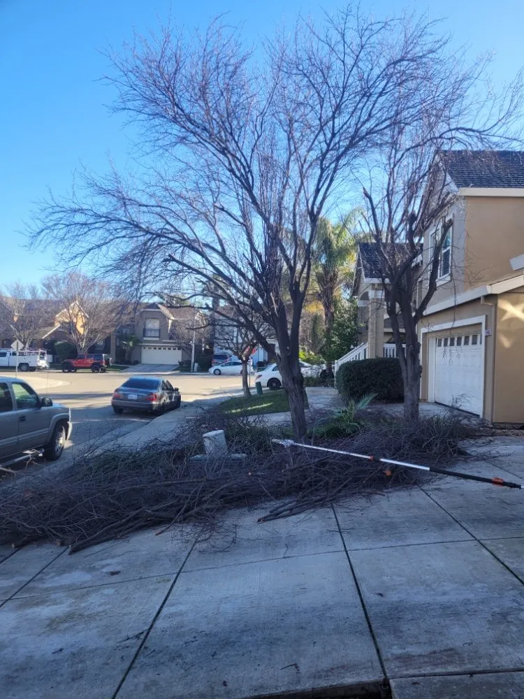 Affordable outdoor landscaping experts serving Tracy, CA - S V Gardening Service