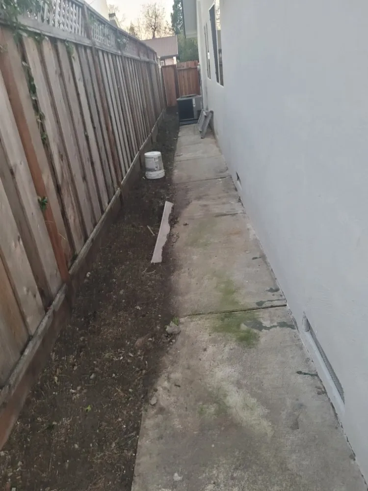 Trusted yard cleanup service for year-round maintenance in Tracy, CA by S V Gardening Service