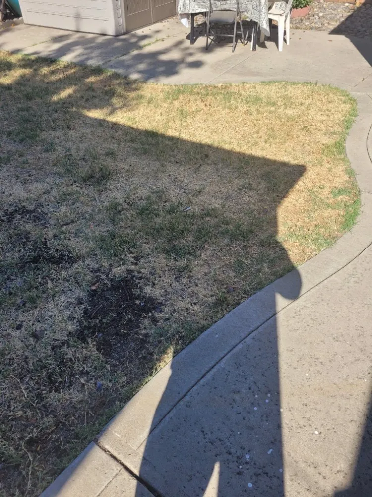 Top-rated landscape design for residential properties across Tracy, CA - S V Gardening Service