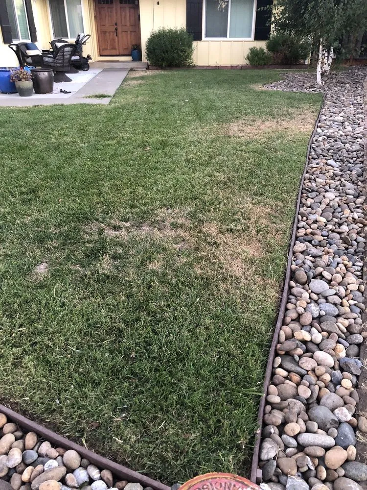 Top-rated landscape installation for year-round maintenance across Tracy, CA - S V Gardening Service