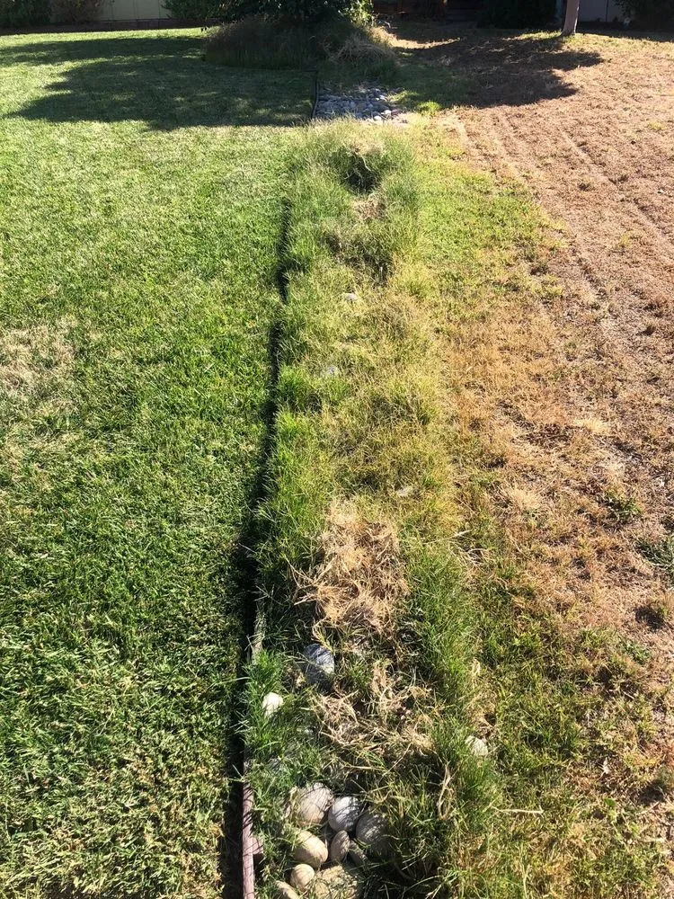 Professional landscaping services in Tracy, CA - S V Gardening Service