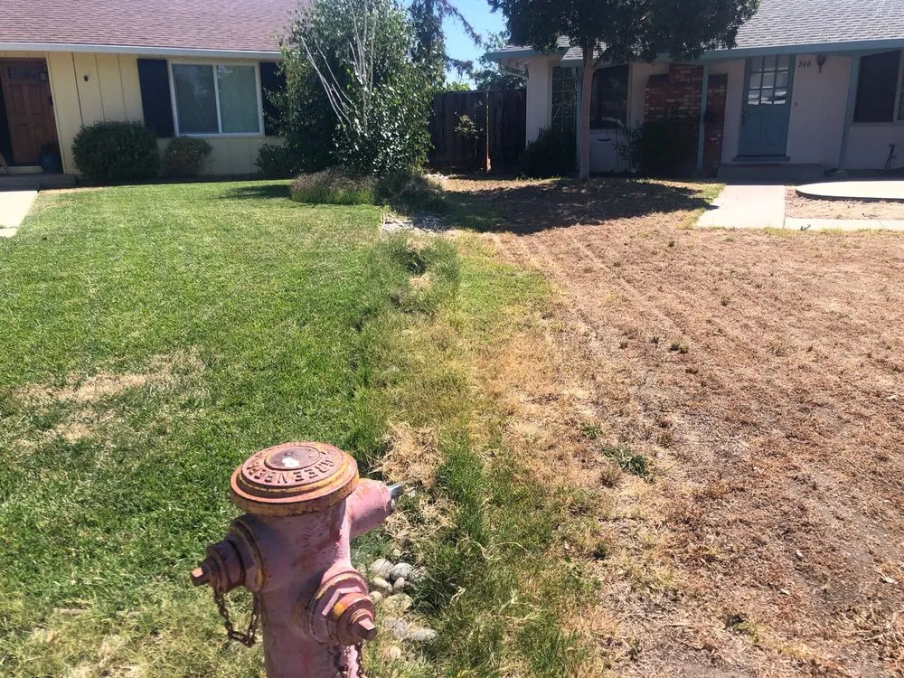 Reliable landscape installation for beautiful yards across Tracy, CA - S V Gardening Service