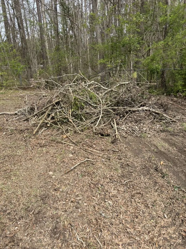 Custom yard maintenance for year-round maintenance in Prosperity, SC by S W Outdoor Services