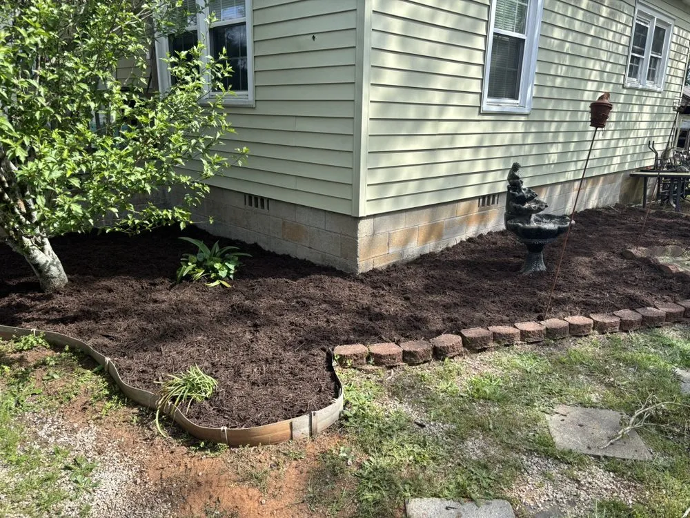 Professional yard cleanup service experts serving Prosperity, SC - S W Outdoor Services