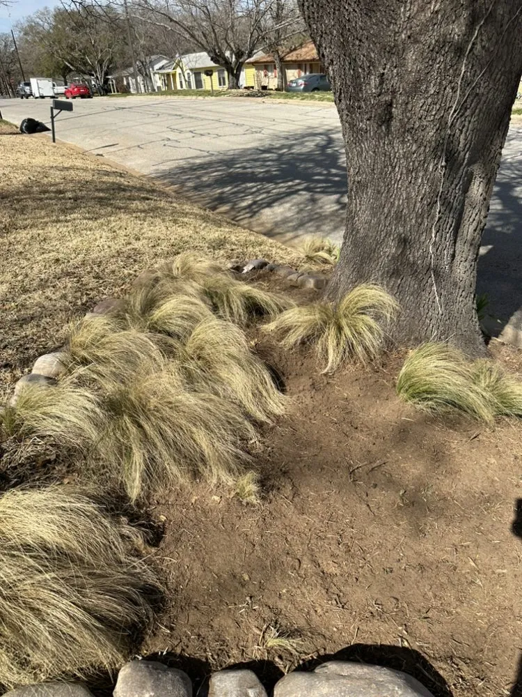 Top-rated residential landscaping in Weatherford, TX - S13 Lawncare & Landscape