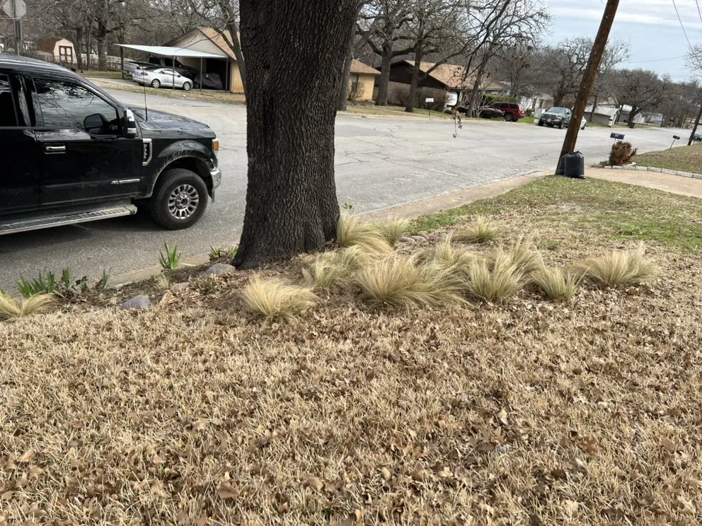 Trusted landscape installation near you in Weatherford, TX by S13 Lawncare & Landscape