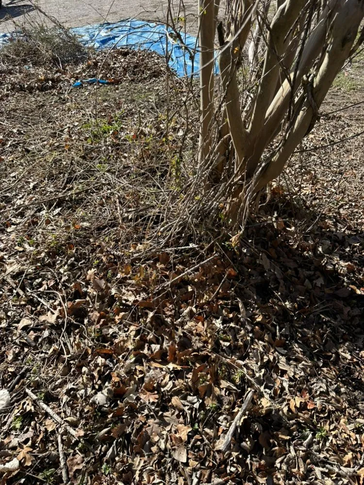 Affordable lawn care service in Weatherford, TX - S13 Lawncare & Landscape