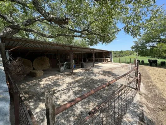 S13 Lawncare & Landscape Logo