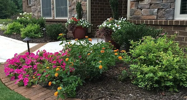 Local lawn mowing service for year-round maintenance in Madison, AL by S2 Lawn Services