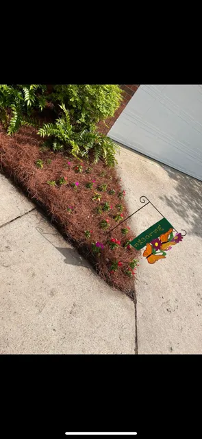 Expert lawn mowing service in Minden, LA - S2 Seamless