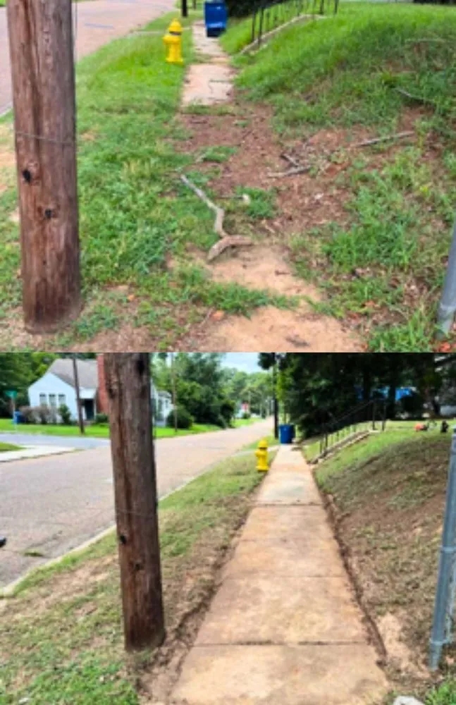 Trusted lawn care service in Minden, LA by S2 Seamless