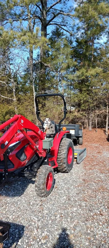 Professional yard cleanup service for residential properties in Hanover, VA by S4 Enterprises