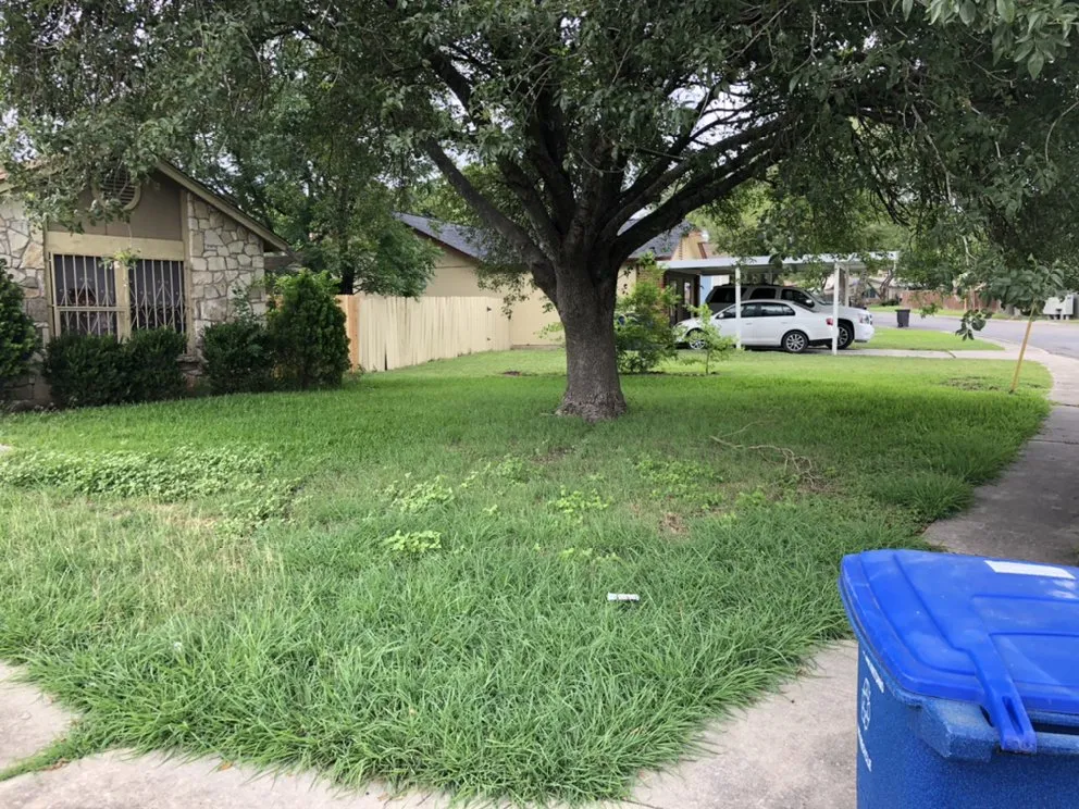 Custom yard maintenance in San Antonio, TX by SA 1st Choice Landscaping