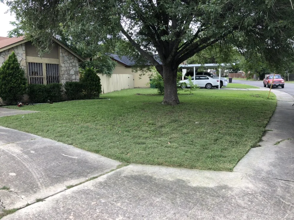 Local yard cleanup service experts serving San Antonio, TX - SA 1st Choice Landscaping