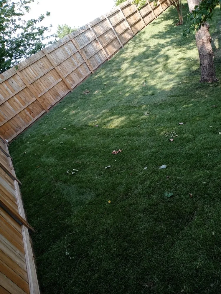 Custom lawn mowing service for beautiful yards in Aurora, IL by S&A Landscaping