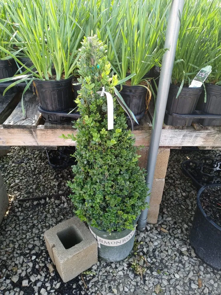 Expert yard cleanup service in Aurora, IL - S&A Landscaping