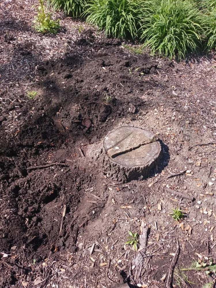 Expert landscaping services in Aurora, IL - S&A Landscaping