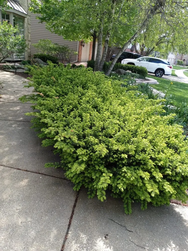Expert residential landscaping for homes in Aurora, IL by S&A Landscaping