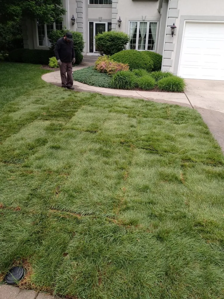 Reliable landscaping services experts serving Aurora, IL - S&A Landscaping
