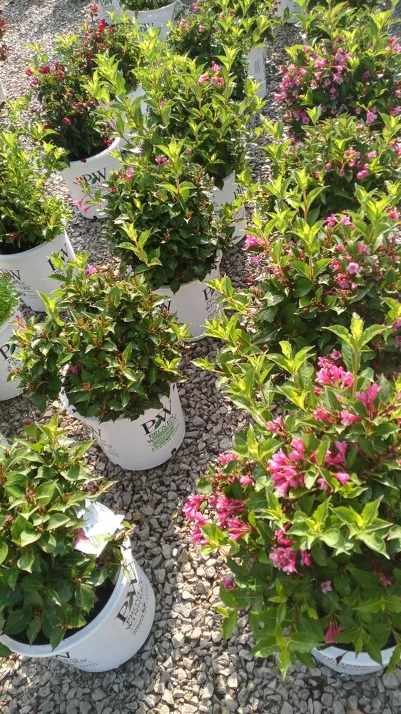 Expert yard maintenance experts serving Aurora, IL - S&A Landscaping