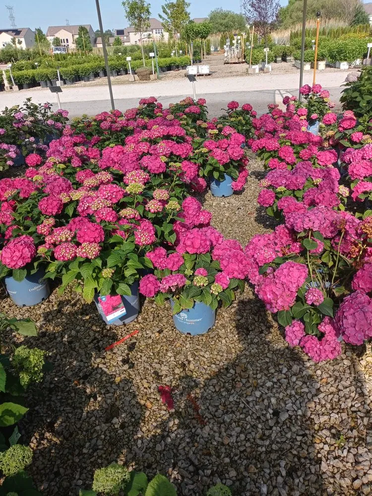 Top-rated lawn care service experts serving Aurora, IL - S&A Landscaping