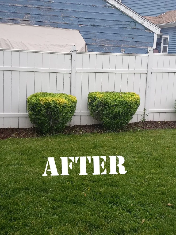 Reliable yard maintenance for outdoor upgrades in Aurora, IL by S&A Landscaping