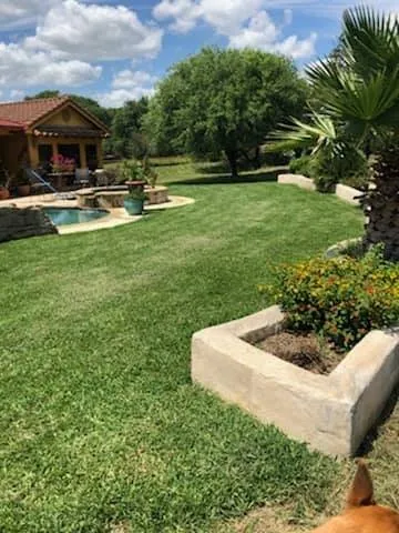 Custom yard cleanup service experts serving San Antonio, TX - SA Lawn Care
