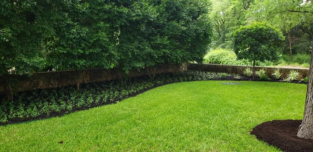 Local landscaping services for year-round maintenance in San Antonio, TX by SA Lawn Care