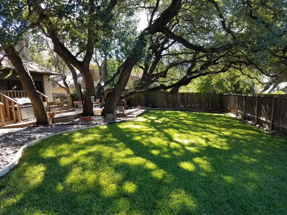 Custom lawn mowing service for beautiful yards in San Antonio, TX by SA Lawn Care