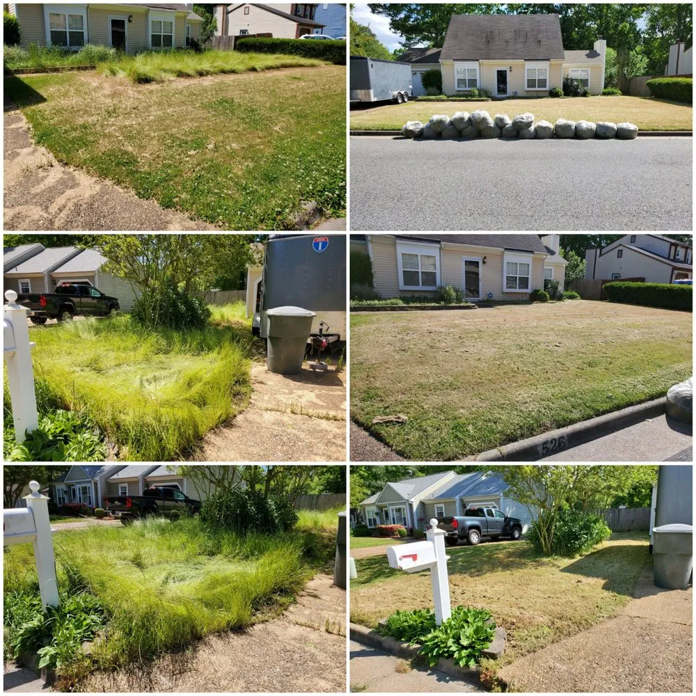 Local lawn mowing service in Yorktown, VA - S&A Lawn Care Services