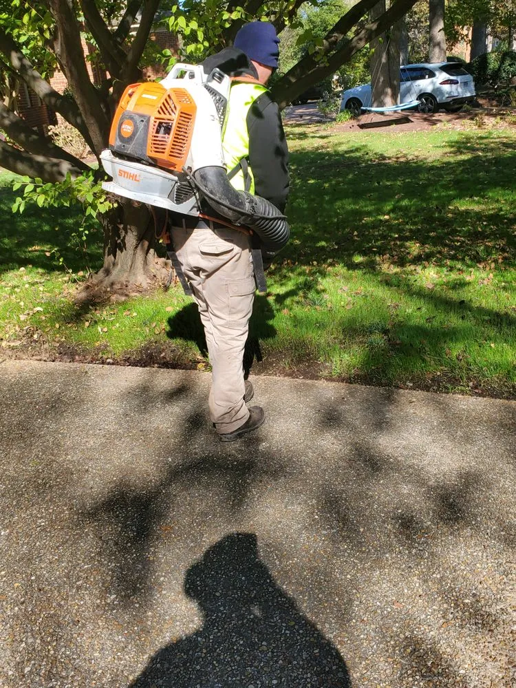 Trusted yard cleanup service experts serving Yorktown, VA - S&A Lawn Care Services