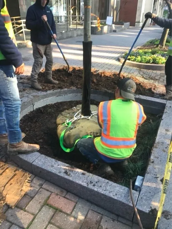 Top-rated outdoor landscaping experts serving Shelby, NC - SA Pro-Cut Landscaping Services