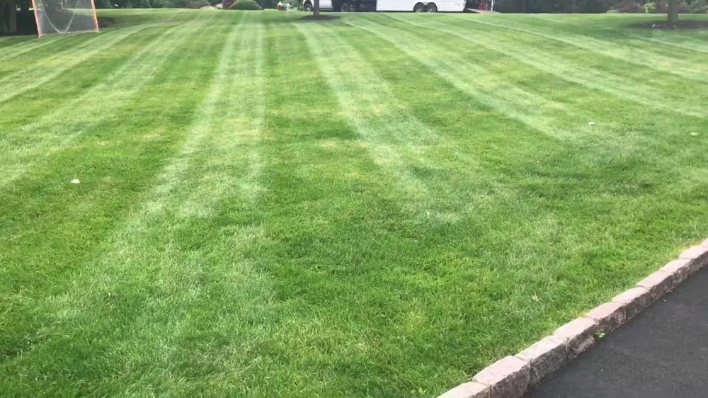 Professional landscape installation for residential properties across Shelby, NC - SA Pro-Cut Landscaping Services