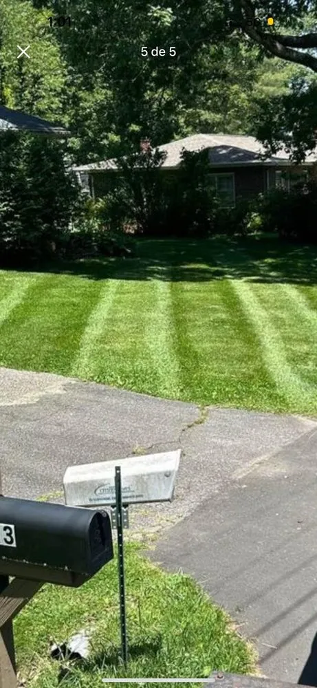 Local residential landscaping in Shelby, NC by SA Pro-Cut Landscaping Services