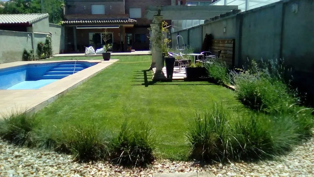 Professional yard maintenance in Shelby, NC by SA Pro-Cut Landscaping Services