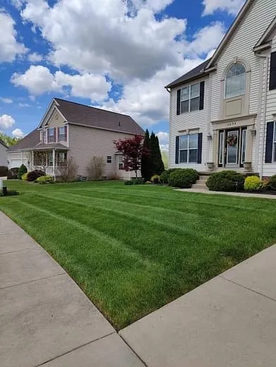 Trusted yard cleanup service in Shelby, NC - SA Pro-Cut Landscaping Services