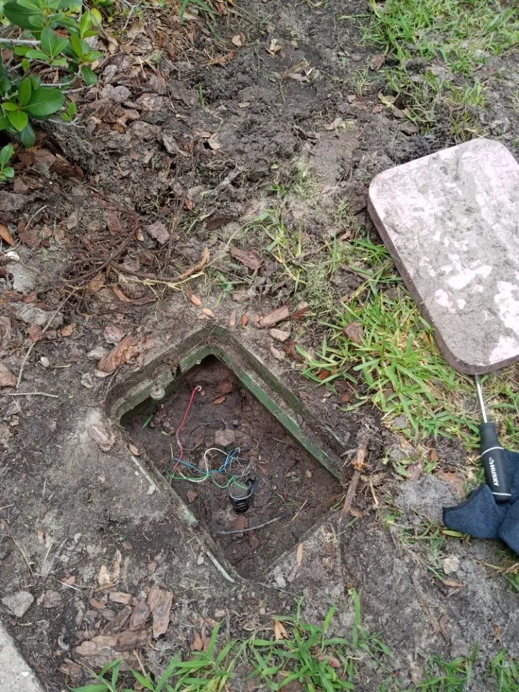 Reliable yard cleanup service in Kissimmee, FL by Sa Rock Irrigation & Landscape Services