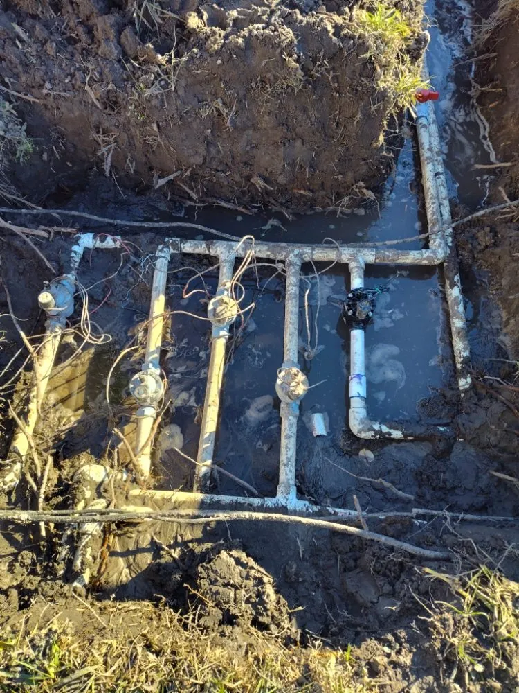 Affordable yard cleanup service in Kissimmee, FL by Sa Rock Irrigation & Landscape Services