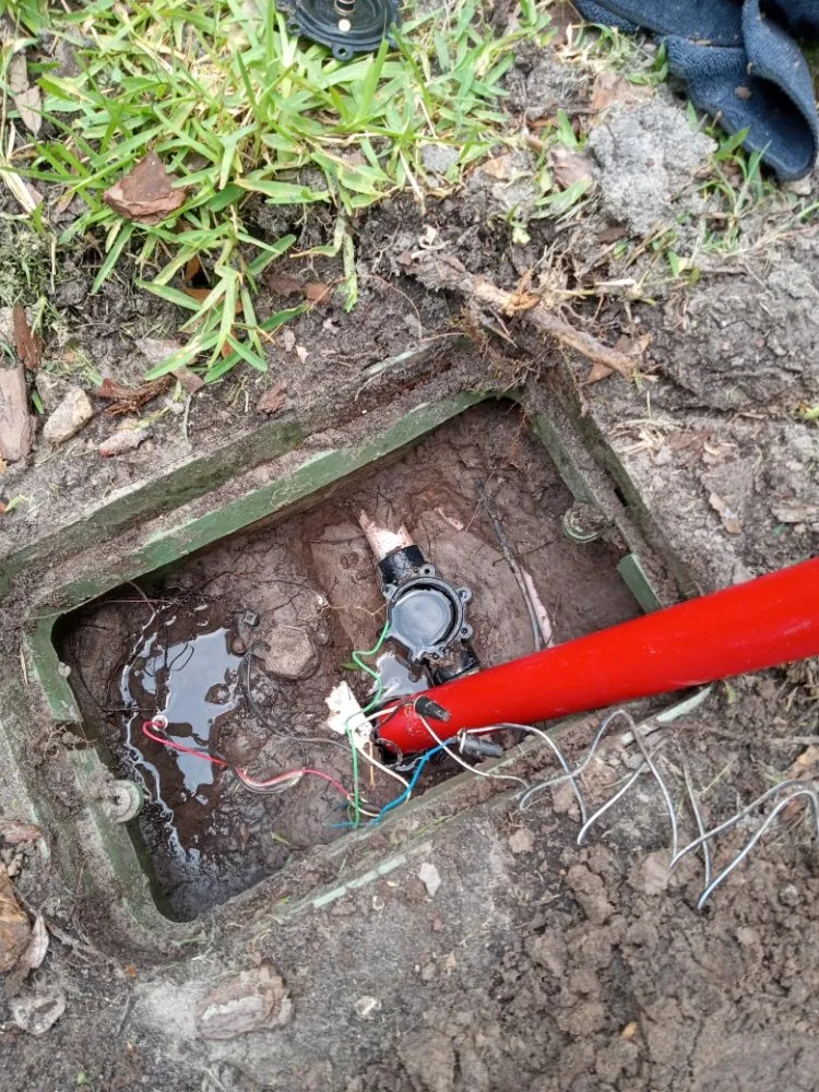 Affordable lawn mowing service for year-round maintenance across Kissimmee, FL - Sa Rock Irrigation & Landscape Services