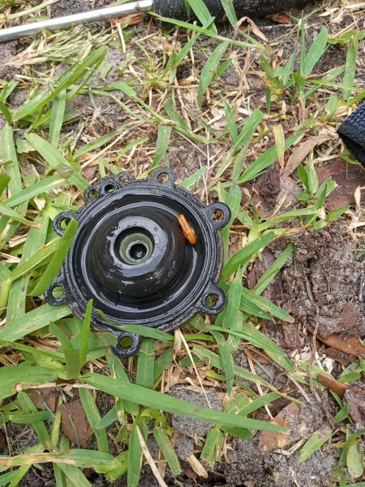 Custom residential landscaping in Kissimmee, FL - Sa Rock Irrigation & Landscape Services