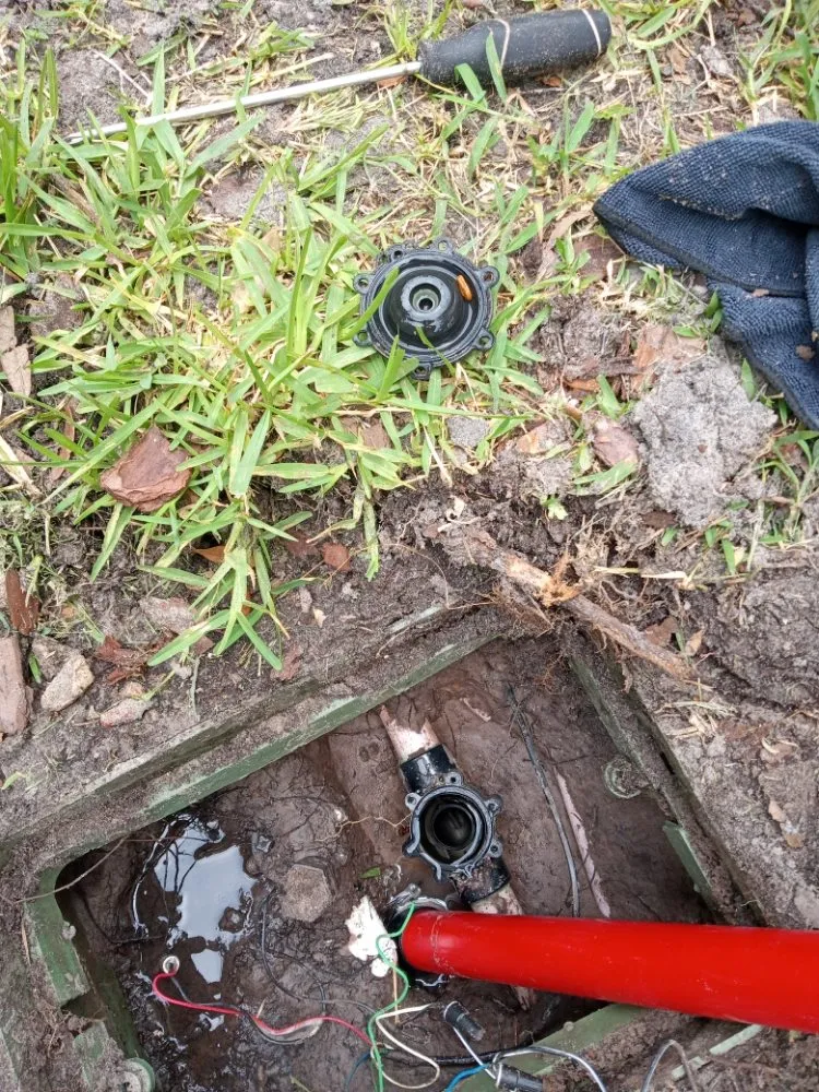 Top-rated outdoor landscaping in Kissimmee, FL by Sa Rock Irrigation & Landscape Services