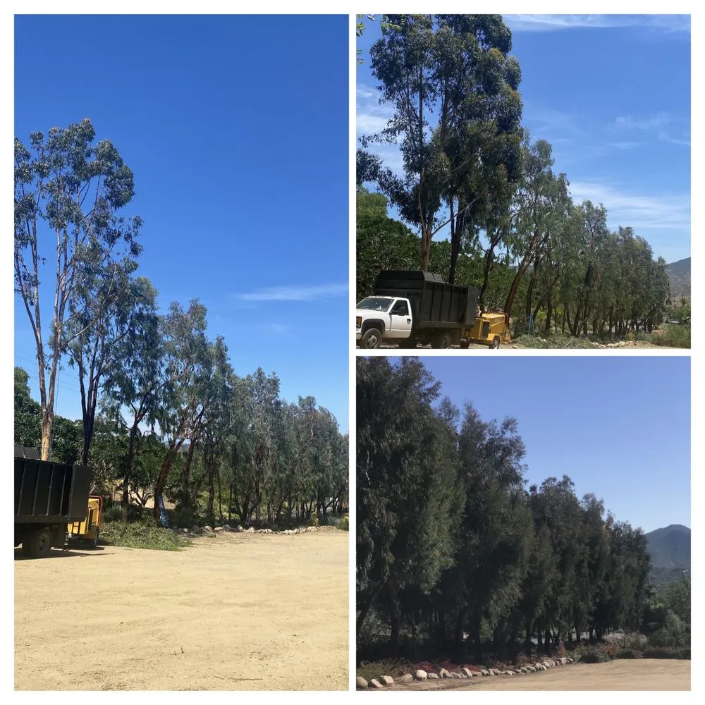 Local landscape installation near you across Escondido, CA - SA tree care & Maintenance