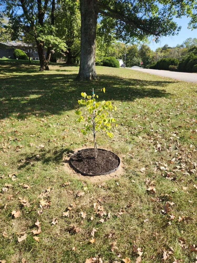 Local landscape installation near you across Bloomington, IN - Saac Of All Trades