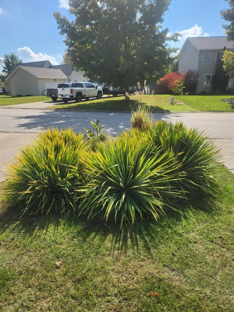 Trusted garden landscaping for beautiful yards in Bloomington, IN by Saac Of All Trades