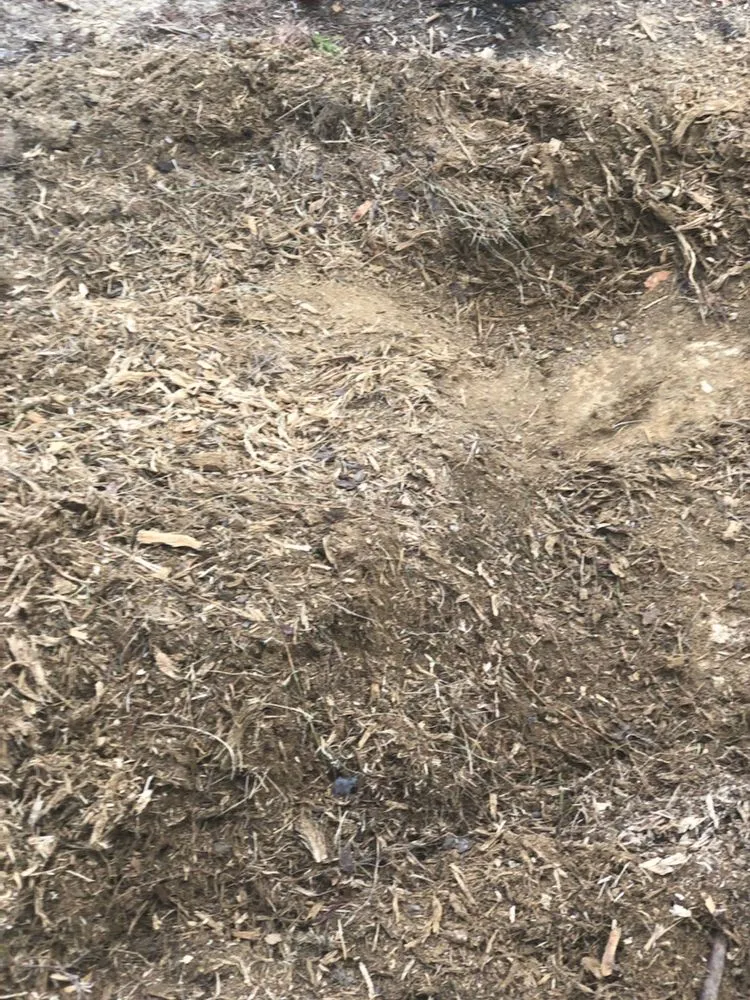Local residential landscaping experts serving Jackson Springs, NC - Saavedra Clean Landscape