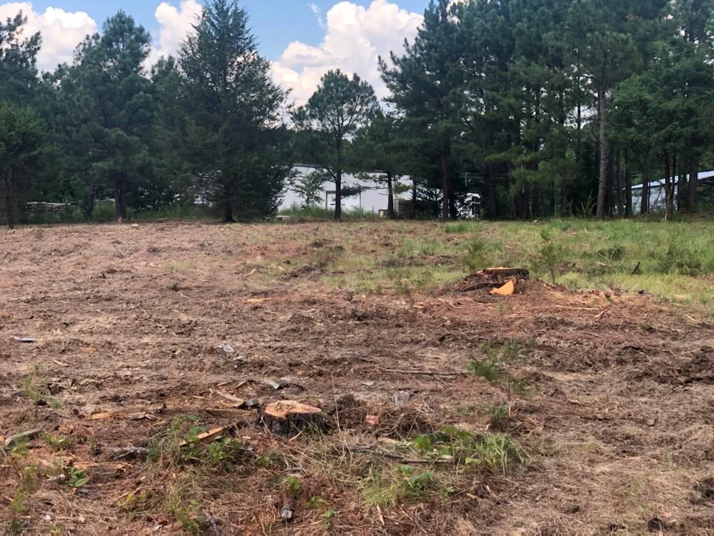 Affordable yard cleanup service in Jackson Springs, NC by Saavedra Clean Landscape
