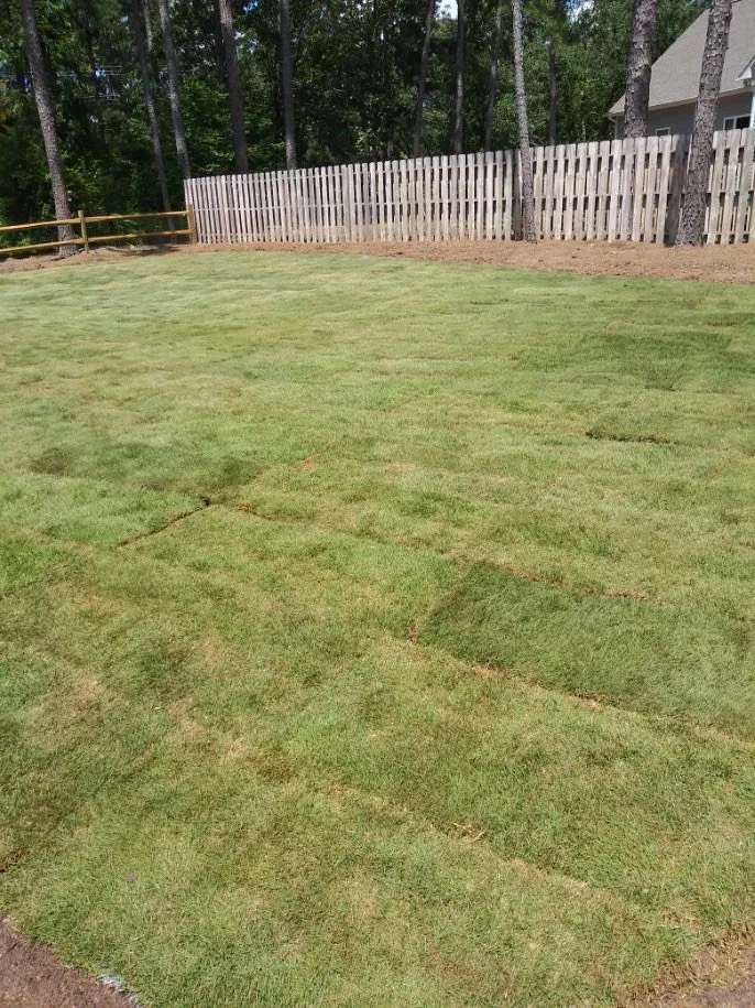 Reliable yard cleanup service near you in Jackson Springs, NC by Saavedra Clean Landscape