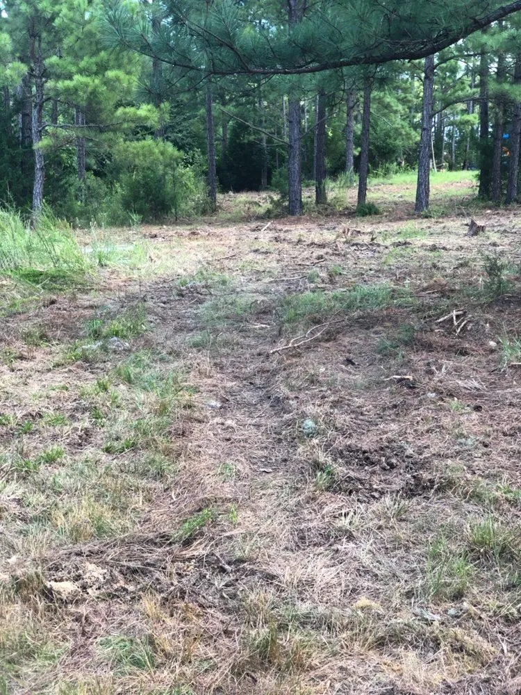 Trusted yard maintenance for year-round maintenance across Jackson Springs, NC - Saavedra Clean Landscape