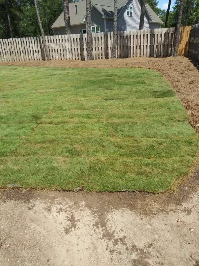 Affordable landscaping services experts serving Jackson Springs, NC - Saavedra Clean Landscape