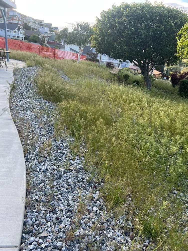 Local yard cleanup service near you in Manson, WA by Saavedra Construction